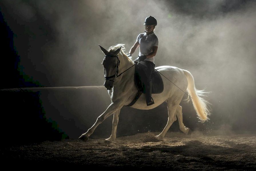 Reiterin und Pferd in der Halle”